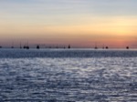 resIMG_20190605_202607_5609.JPG
